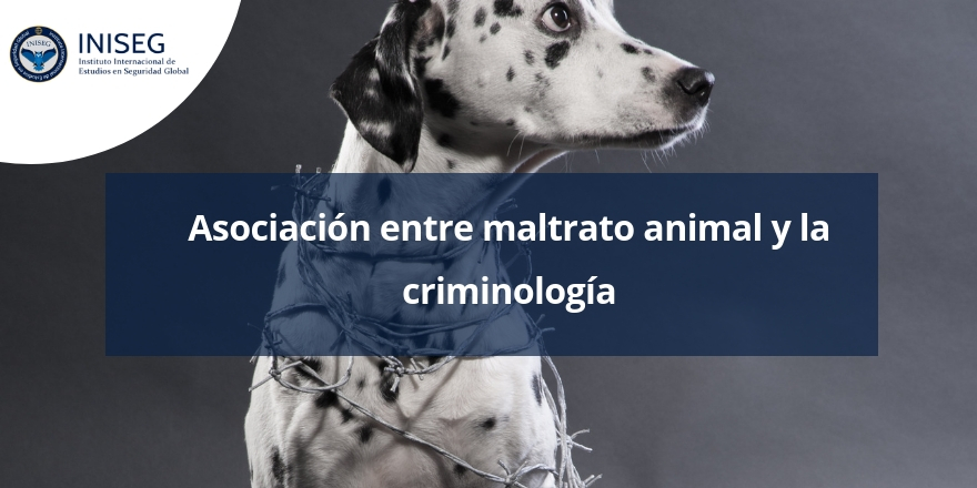 Asociación entre maltrato animal y la criminología | Seguridad