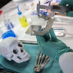 odontología forense