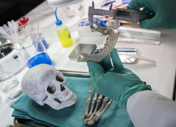 odontología forense